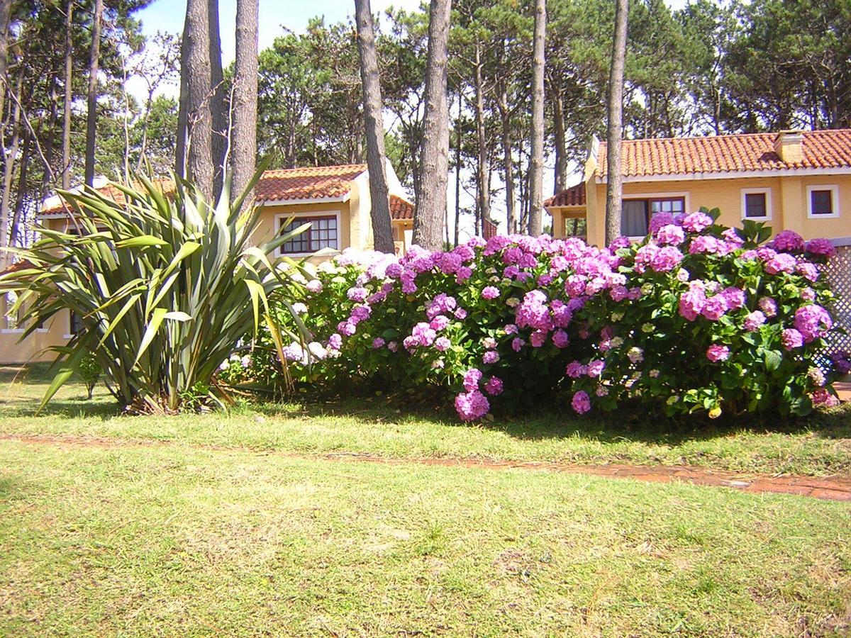 Aparthotel Pino Dorado à Manantiales Extérieur photo