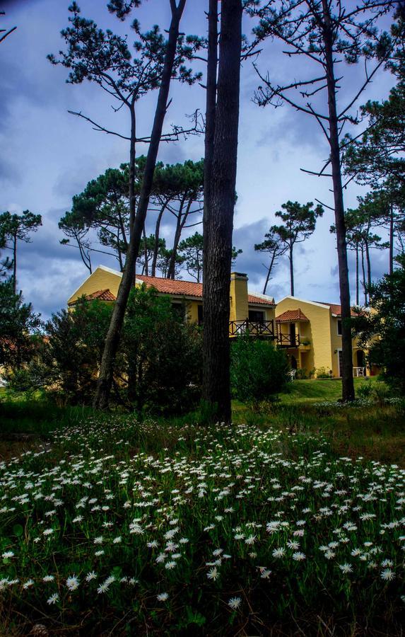 Aparthotel Pino Dorado à Manantiales Extérieur photo